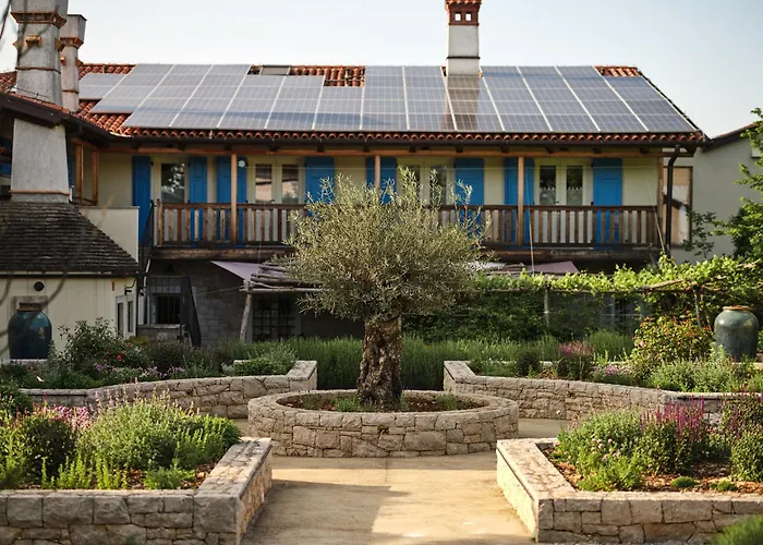 Stdaniel Штаньел