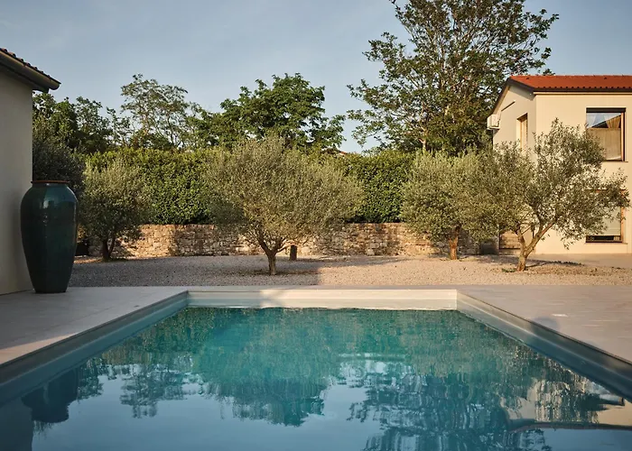 Stdaniel Штаньел